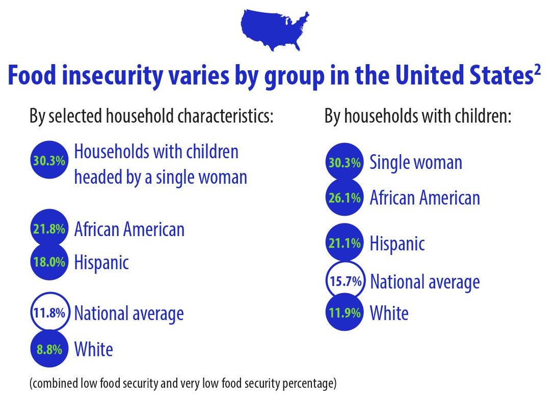 food security by race