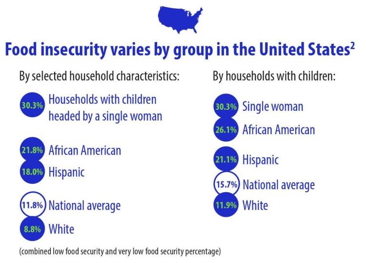 food security by race